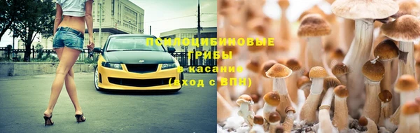 прущая мука Баксан
